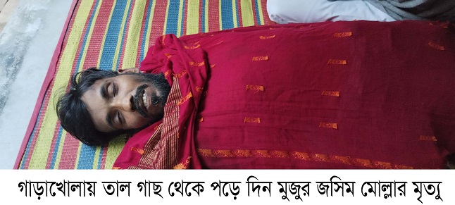 গাড়াখোলায় তাল গাছ থেকে পড়ে দিন মুজুর জসিম মোল্লার মৃত্যু